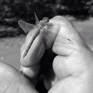 Meet your Posher, Agustin